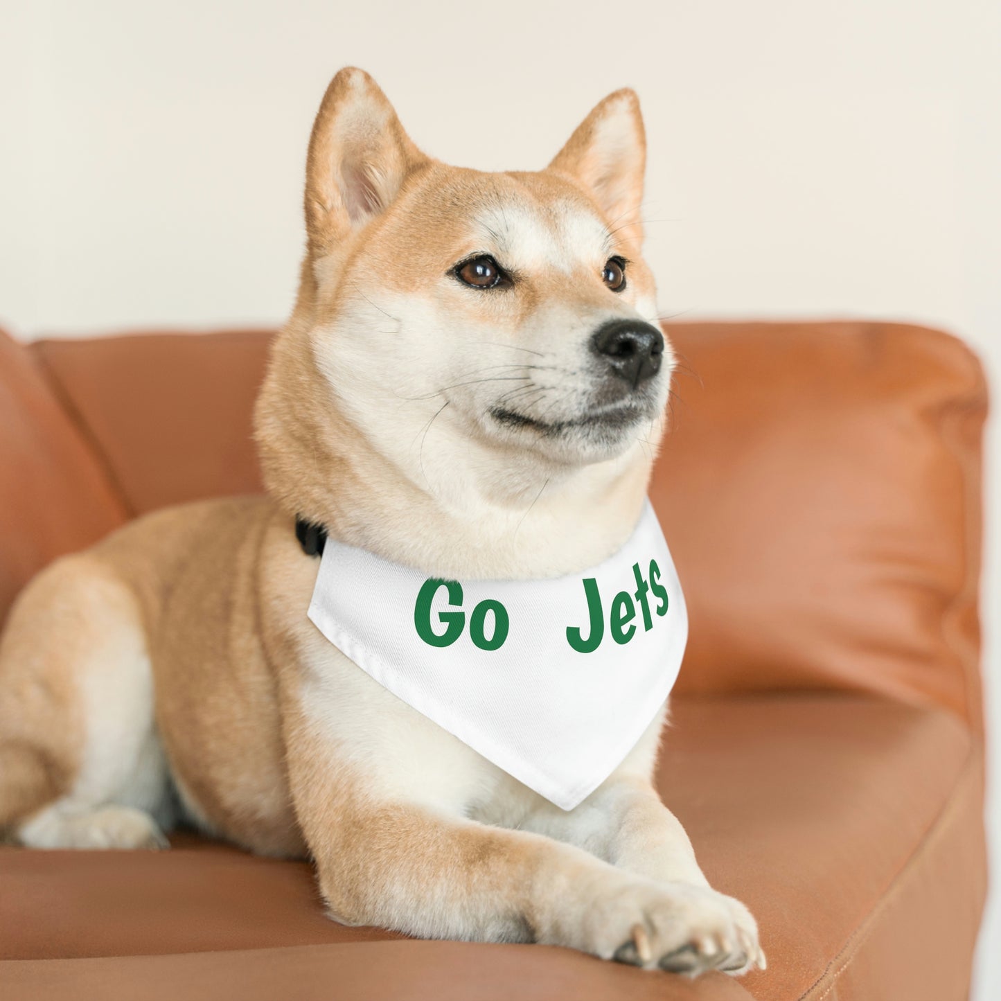 Jets Pet Bandana Collar